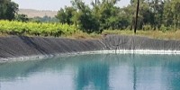 pondliner-featured